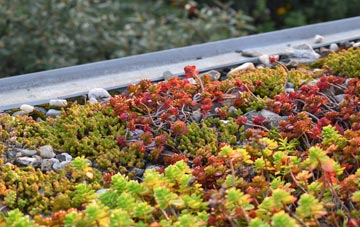 the cost of Priest Hutton green roof installation