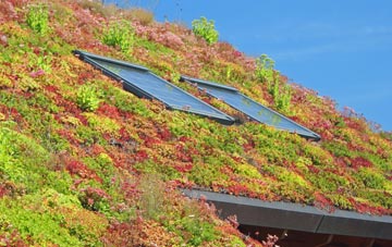 Priest Hutton living roof systems