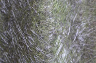 Priest Hutton fibreglass roof work